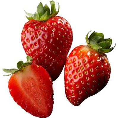 Sorbet Fraise 7 litres  