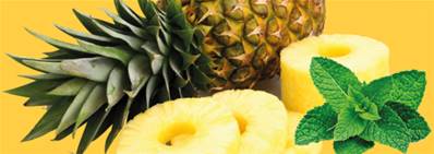 Sorbet Ananas Menthe 5 litres (Juillet-Sept 2024)