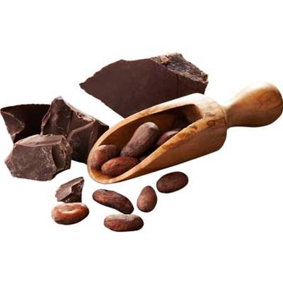 Glace Chocolat Equateur 5 litres 