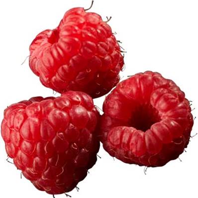Sorbet Framboise 5 litres