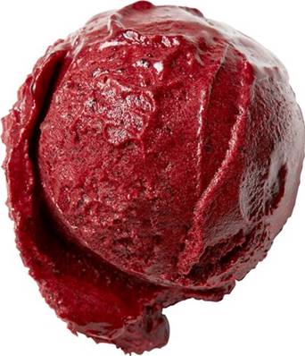 Sorbet Myrtille Aloé Véra Bio Vegan 5 litres