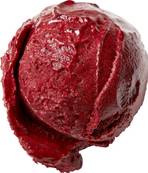 Sorbet Myrtille Aloé Véra Bio Vegan 5 litres