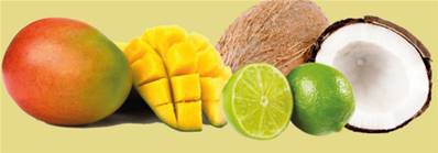 Sorbet Coco Mangue Citron Vert 5 litres (Juillet-Sept 2024)