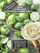 Sorbet Citron Vert Basilic 4 litres