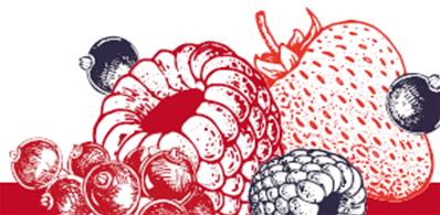 Sorbet Fruits rouges 5 Litres - Indice glycémique bas 