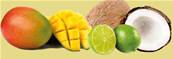 Sorbet Coco Mangue Citron Vert 5 litres (Juillet-Sept 2024)