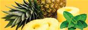 Sorbet Ananas Menthe 5 litres (Juillet-Sept 2024)