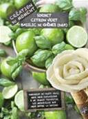 Sorbet Citron Vert Basilic 4 litres