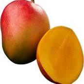 Sorbet Mangue 3 litres 