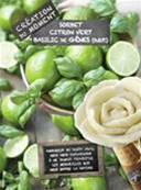 Sorbet Citron Vert Basilic 4 litres