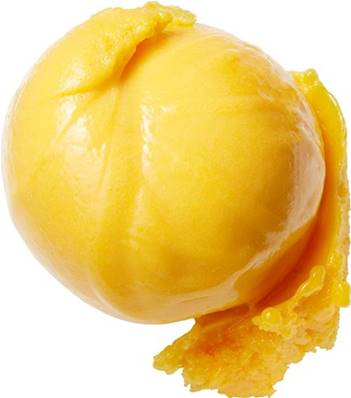 Sorbet Mangue Bio Vegan 5 litres