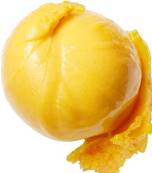 Sorbet Mangue Bio Vegan 5 litres