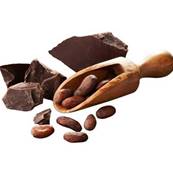 Glace Chocolat Equateur 5 litres 