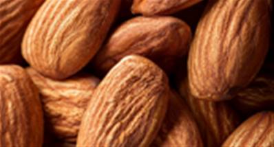 Sorbet Amande Bio 5 litres